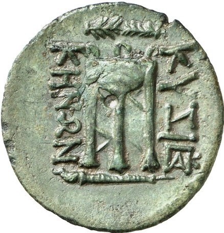 coin rev