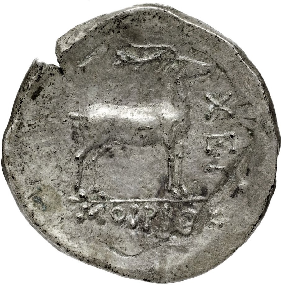 CN Type 21226, реверс, cn-coins