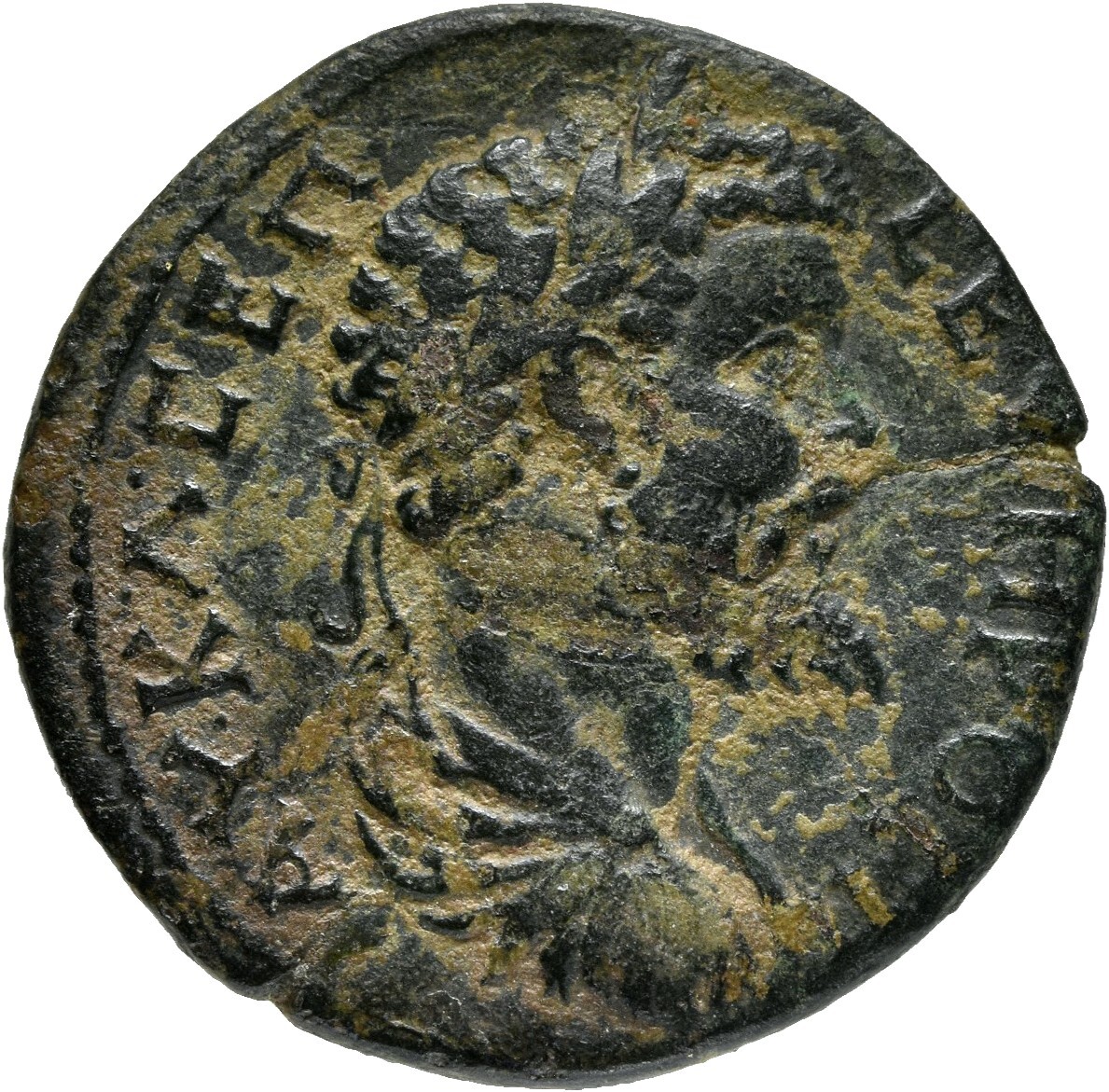 CN Type cn.perinthus.1_ed.212, аверс, cn-coins