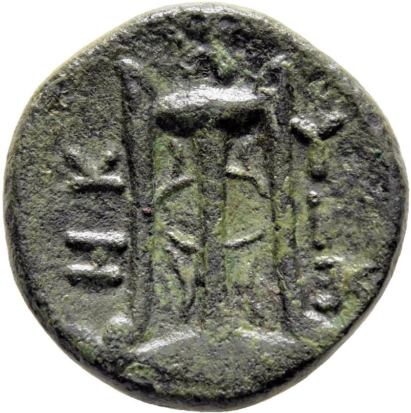 реверс CN Type 21628