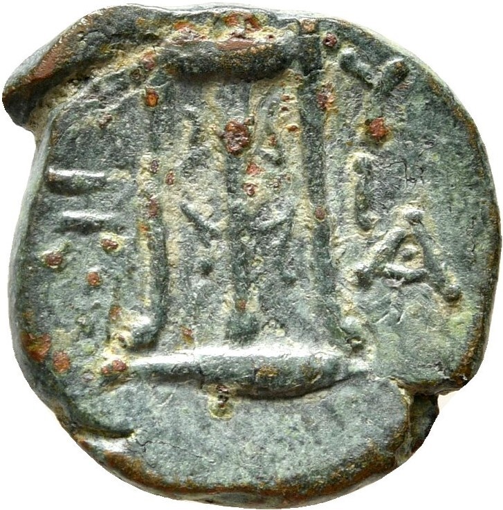 CN Type 21629, реверс, cn-coins