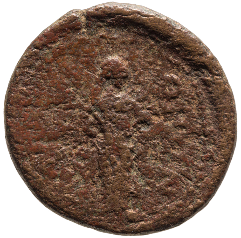 reverse CN Type cn.perinthus.1_ed.189