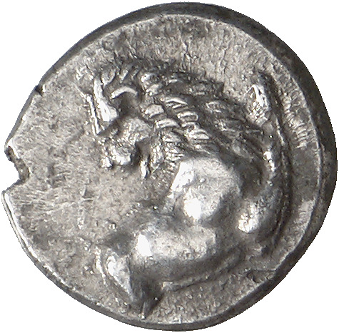CN Type cn.chersonesus_thrace.1_ed.41, аверс, cn-coins