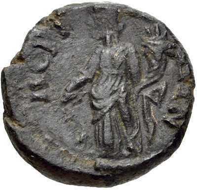 reverse CN Type cn.perinthus.1_ed.260