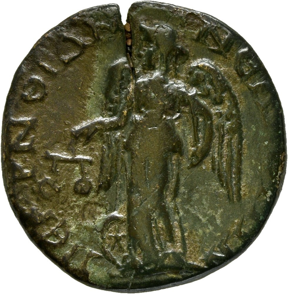 reverse CN Type cn.perinthus.1_ed.344