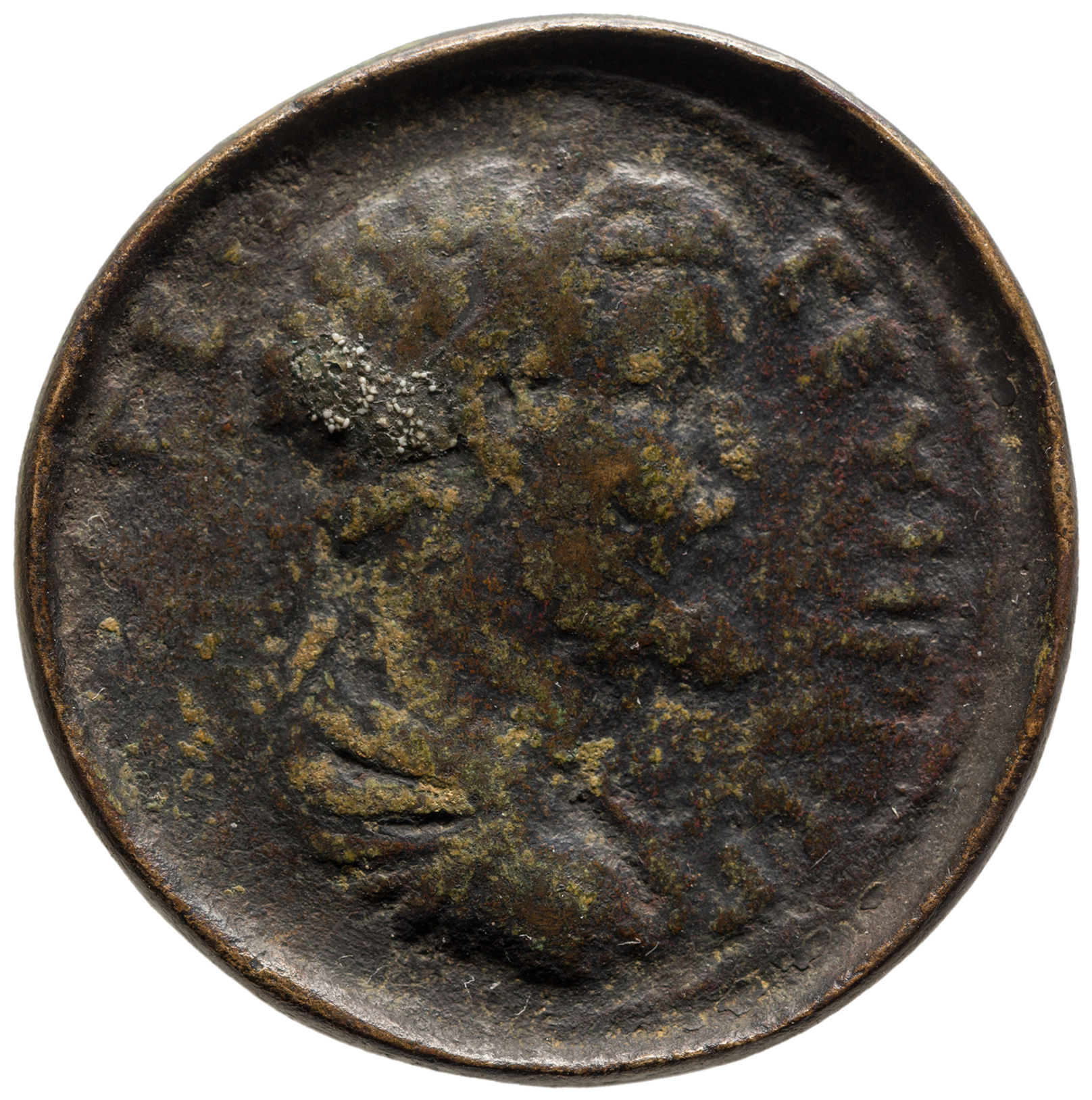 CN Type cn.perinthus.1_ed.210, аверс, cn-coins