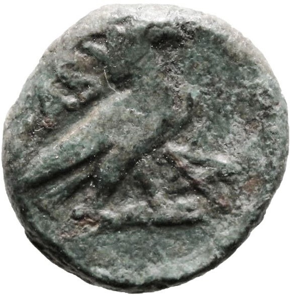 CN Type 21670, реверс, cn-coins
