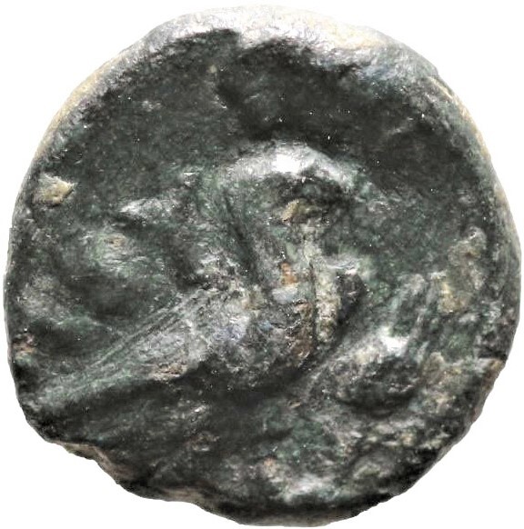 CN Type 3039, реверс, cn-coins