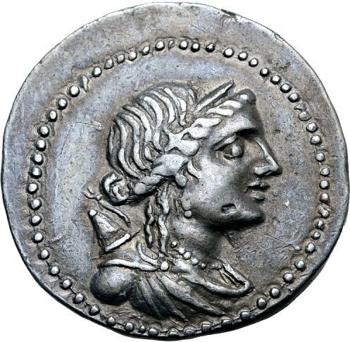 CN Type 3239, аверс, cn-coins