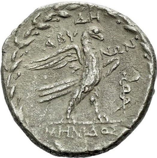 coin rev