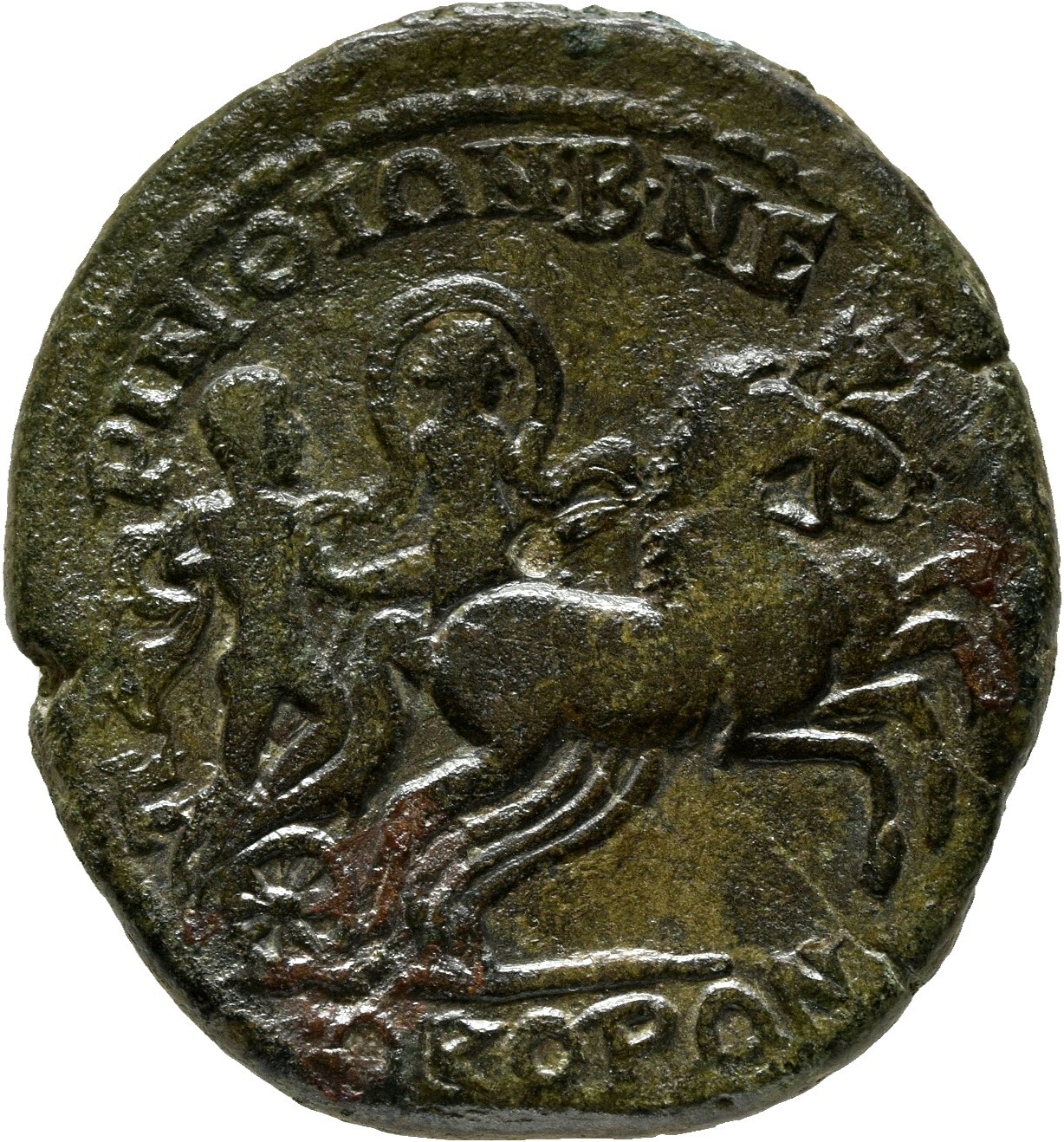 reverse CN Type cn.perinthus.1_ed.502