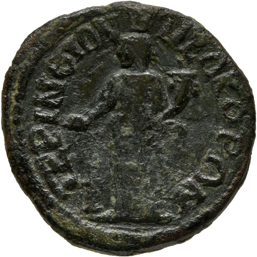 reverse CN Type cn.perinthus.1_ed.552