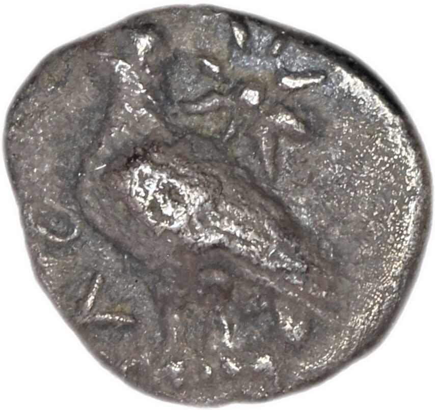 obverse CN Type 3551