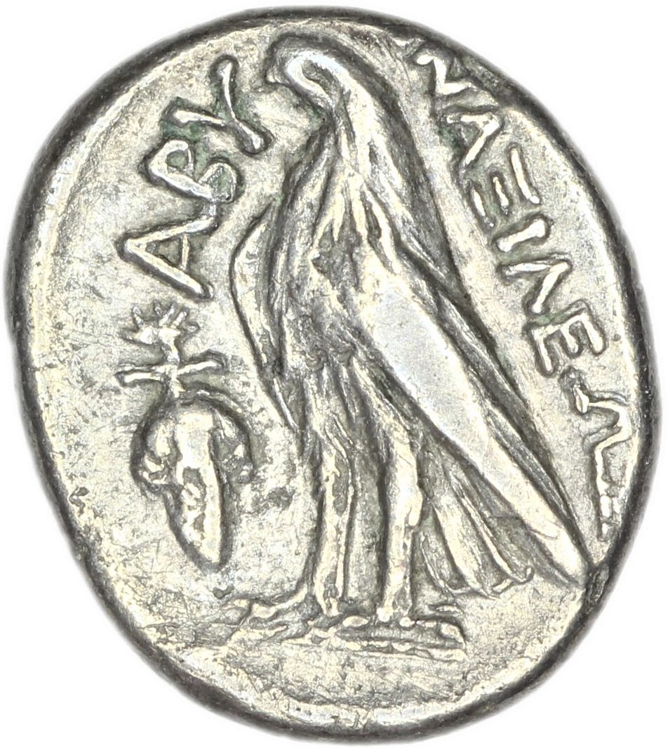 coin rev