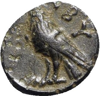 coin rev