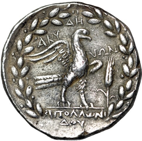 coin rev