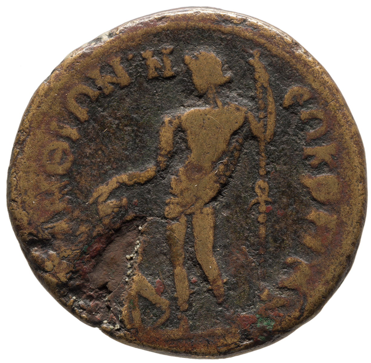 reverse CN Type cn.perinthus.1_ed.275