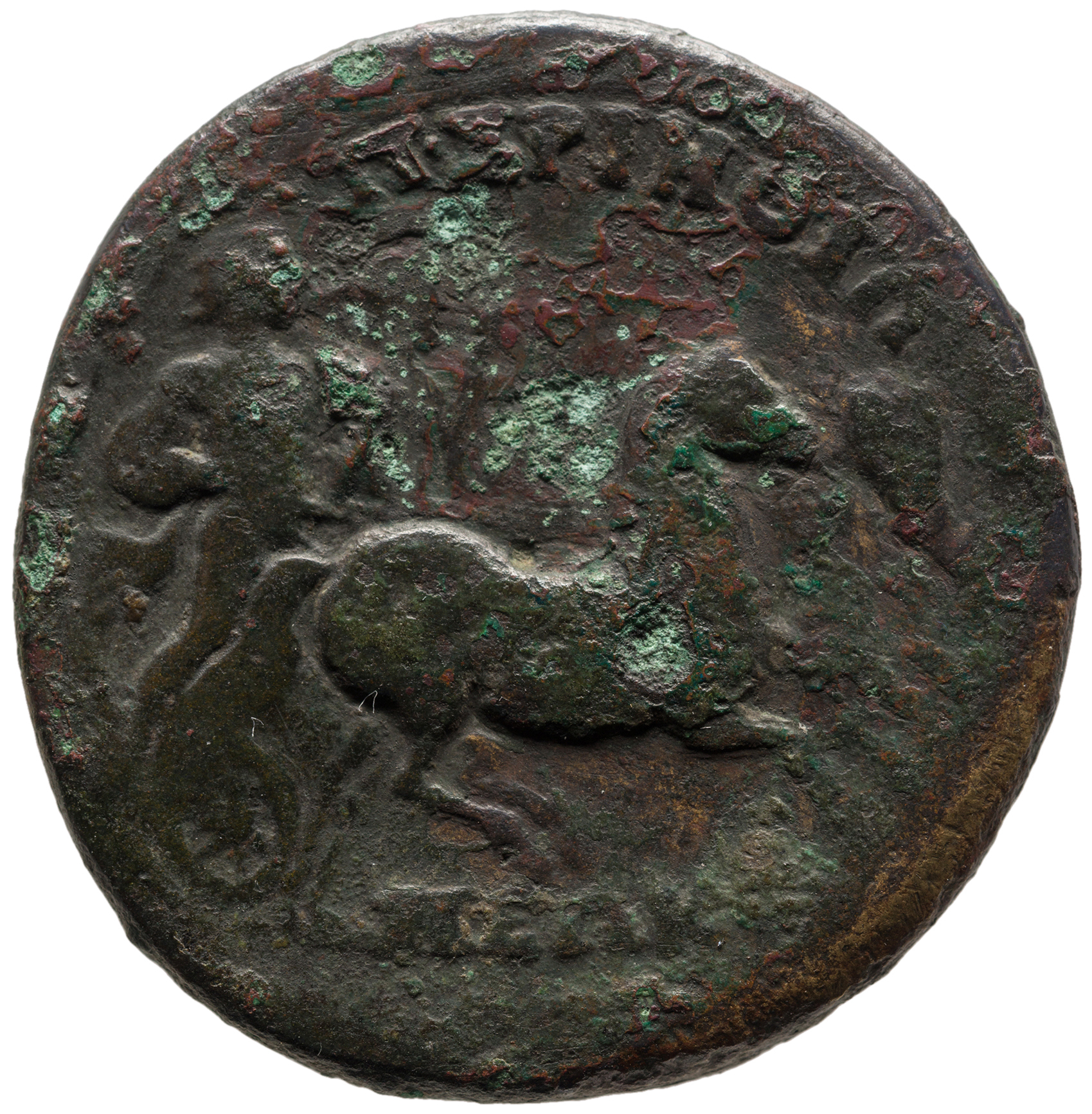reverse CN Type cn.perinthus.1_ed.310