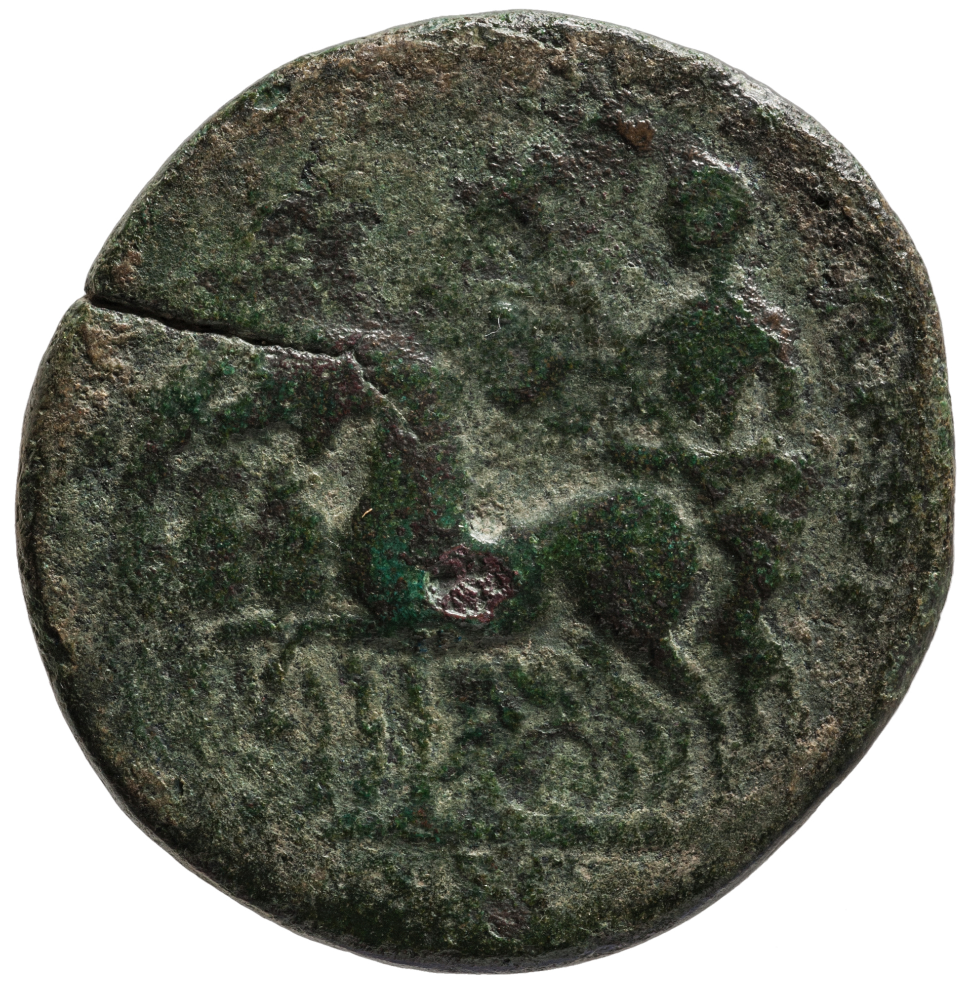 reverse CN Type cn.perinthus.1_ed.282