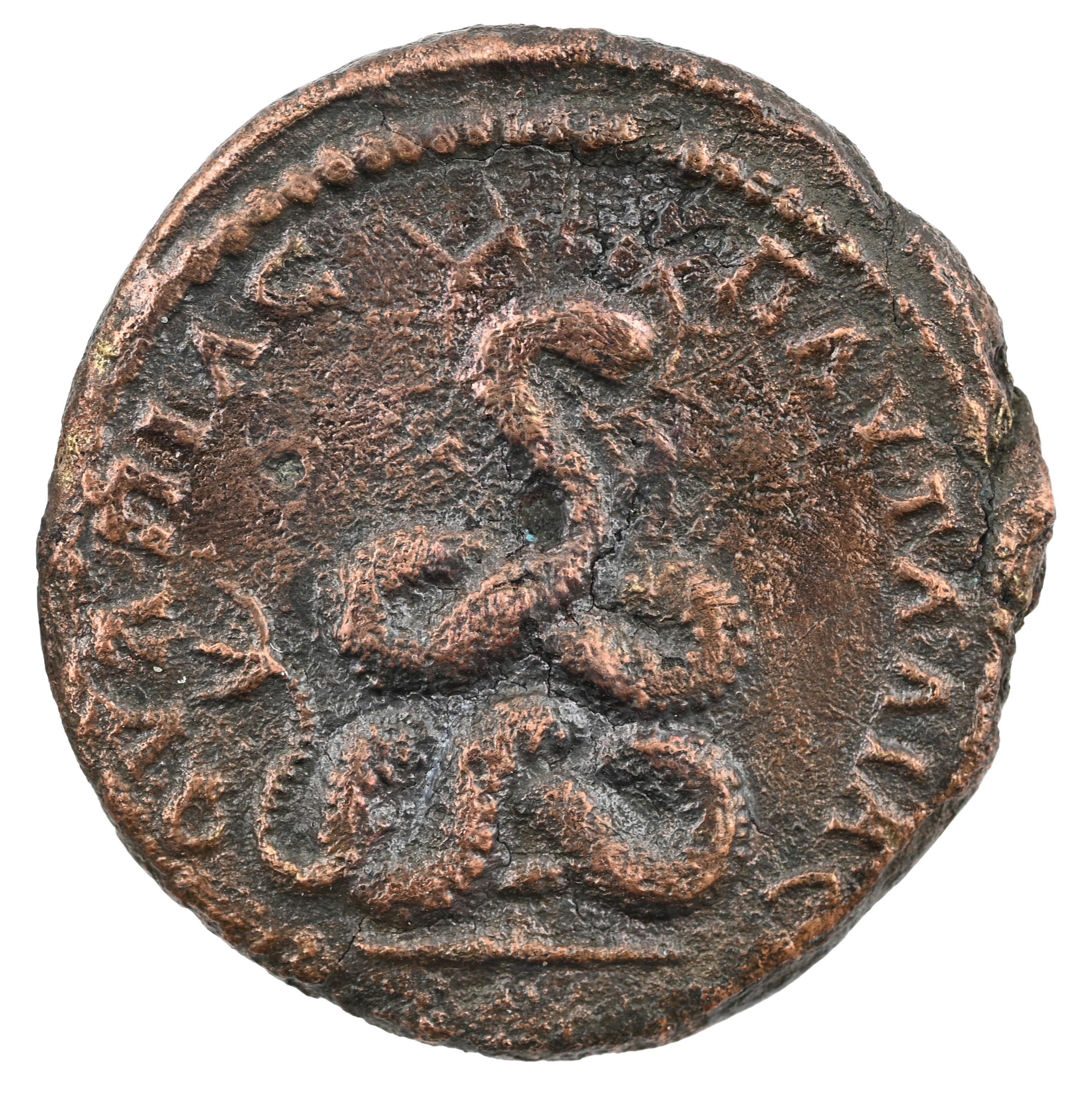 CN Type 21264, реверс, cn-coins