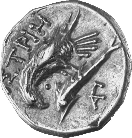 CN Type 7142, реверс, cn-coins