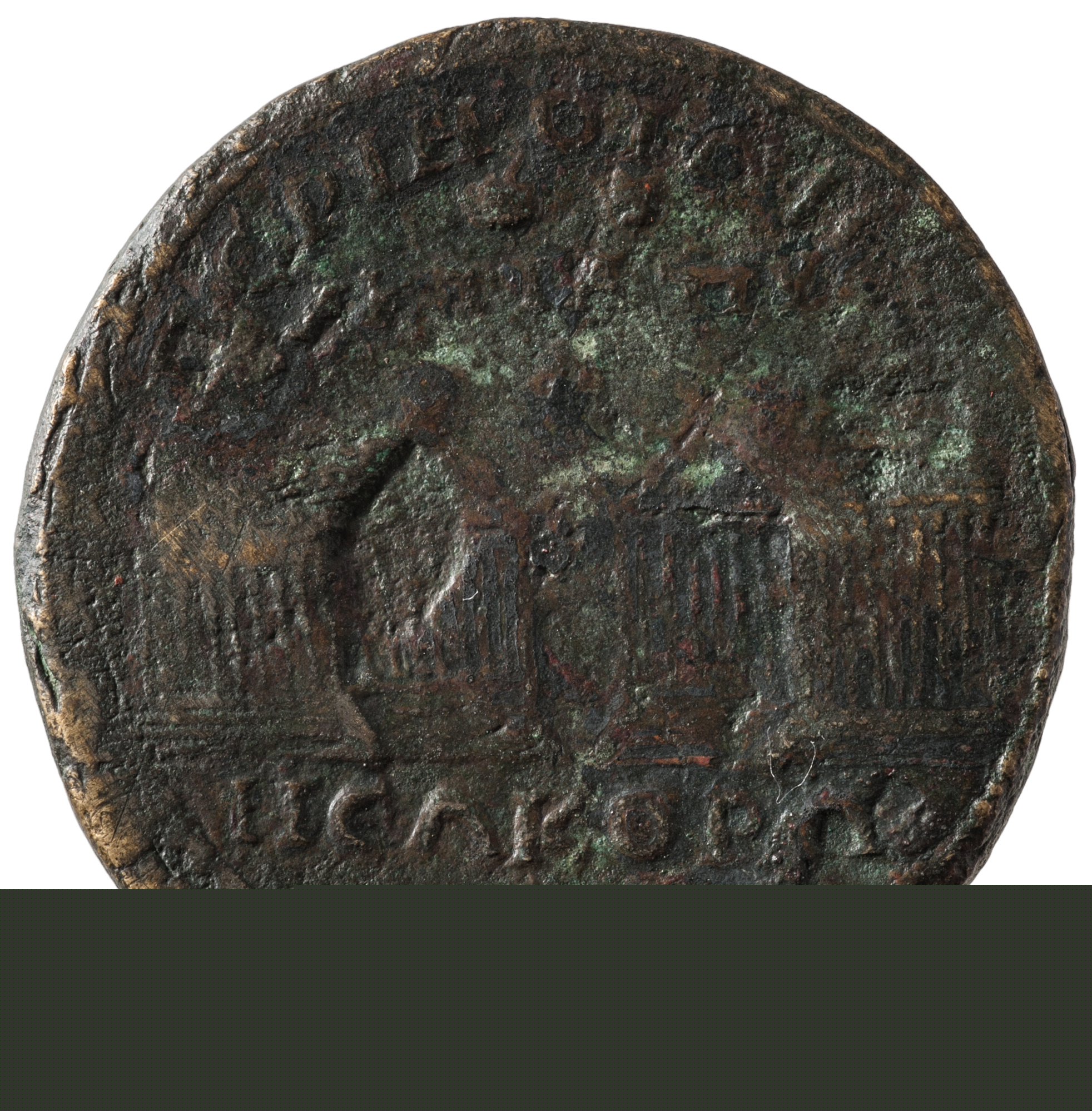 reverse CN Type cn.perinthus.1_ed.299