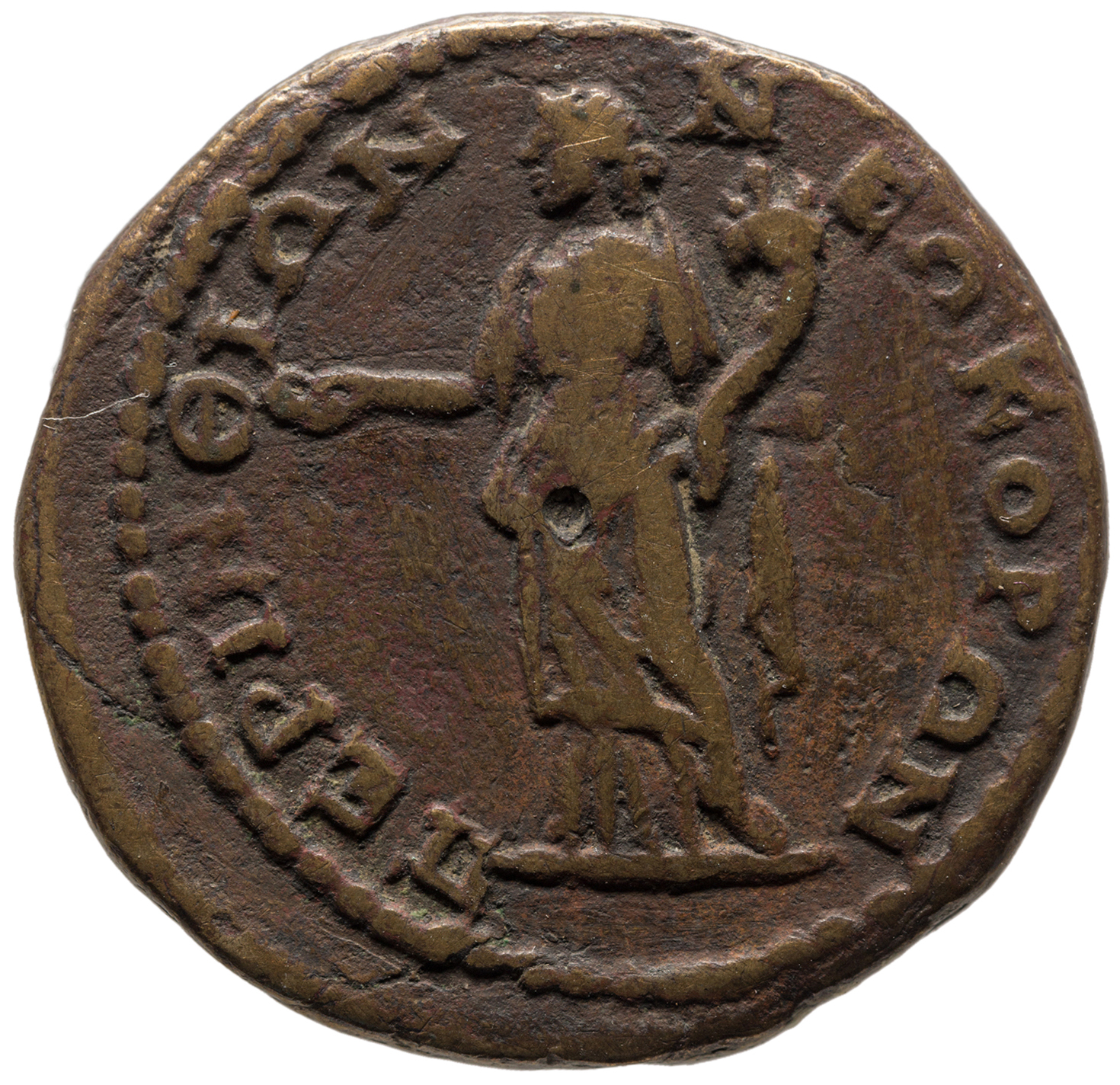 reverse CN Type cn.perinthus.1_ed.339