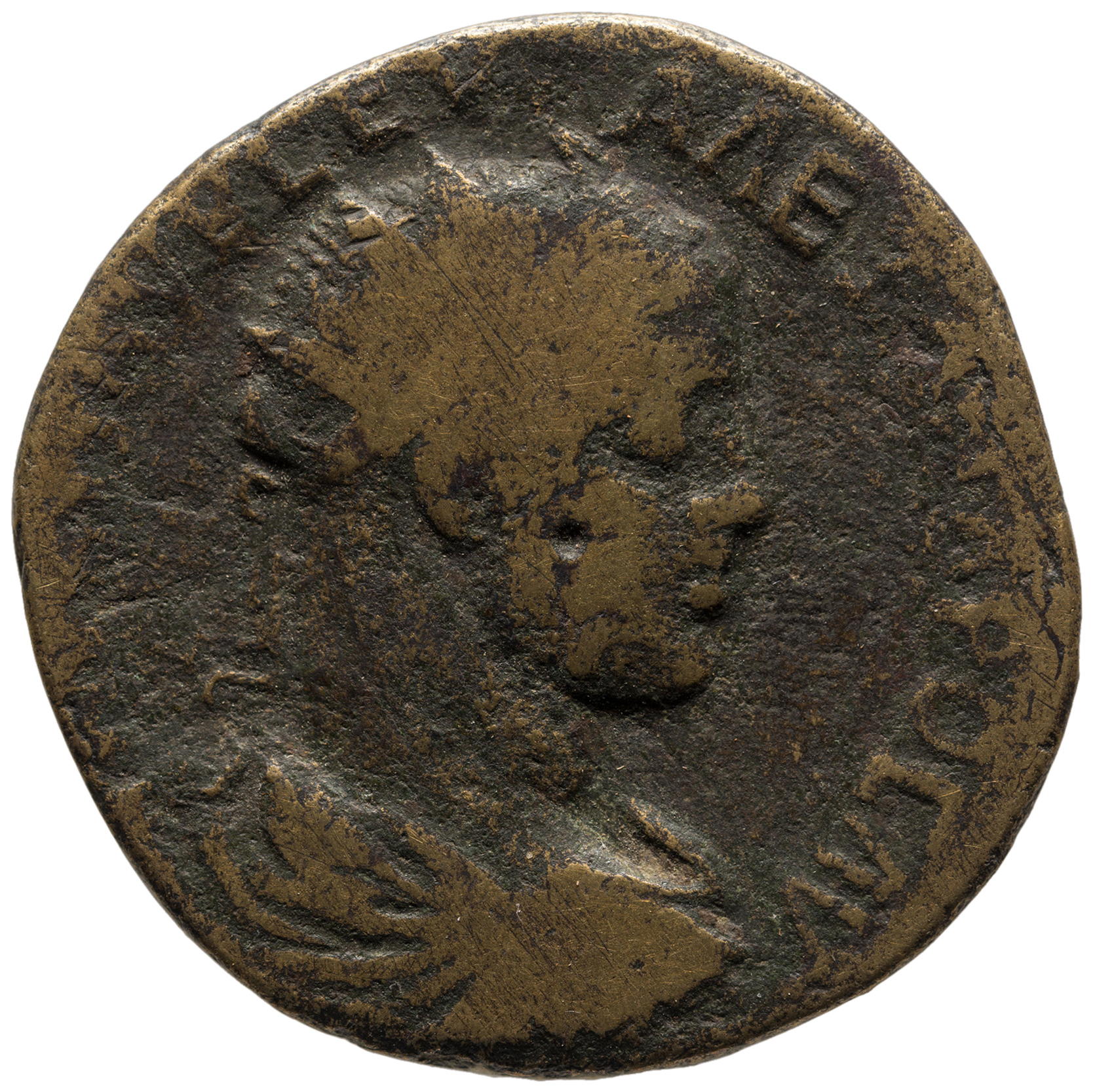 CN Type cn.perinthus.1_ed.442, аверс, cn-coins