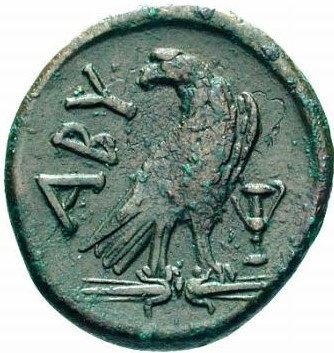 coin rev