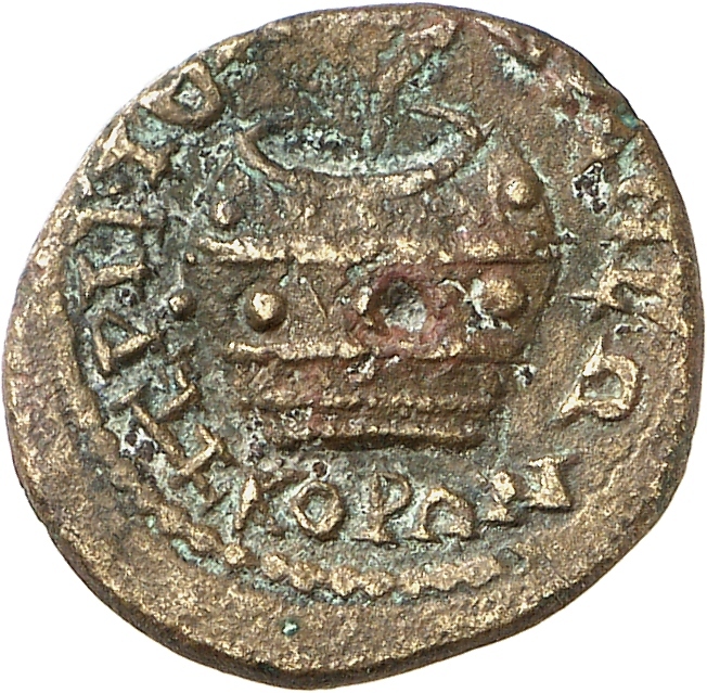 reverse CN Type cn.perinthus.1_ed.469