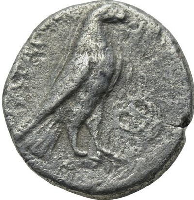CN Type 2544, реверс, cn-coins