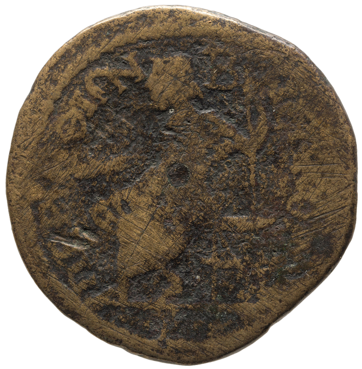 reverse CN Type cn.perinthus.1_ed.539