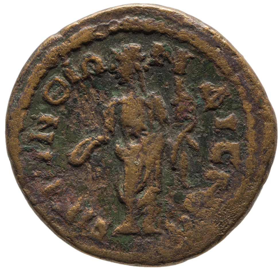 reverse CN Type cn.perinthus.1_ed.541
