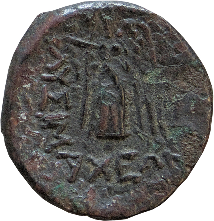 CN Type 12559, реверс, cn-coins