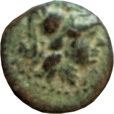 CN Type 12091, obverse, cn-coins