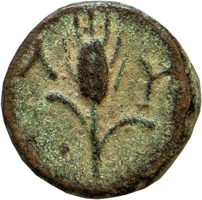 CN Type 12091, reverse, cn-coins