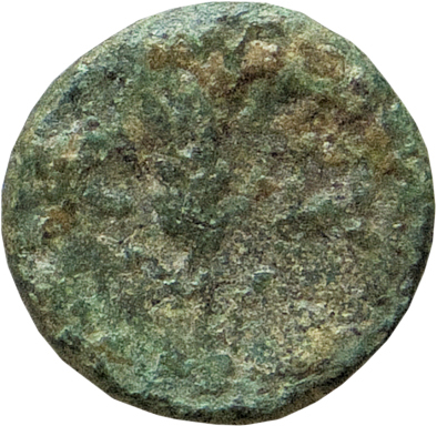 CN Type 12084, реверс, cn-coins