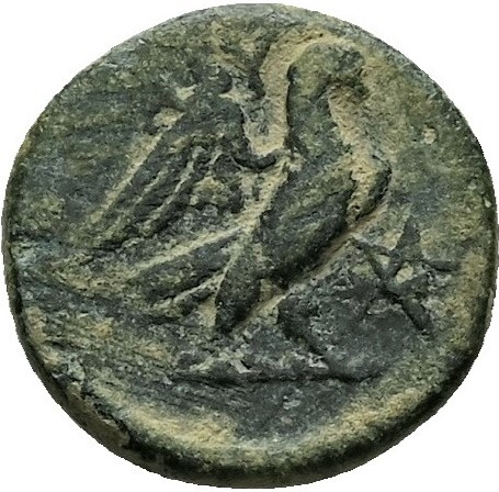 coin rev