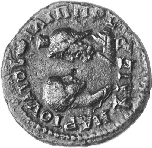 CN Type cn.mesembria.1_ed.282, аверс, cn-coins