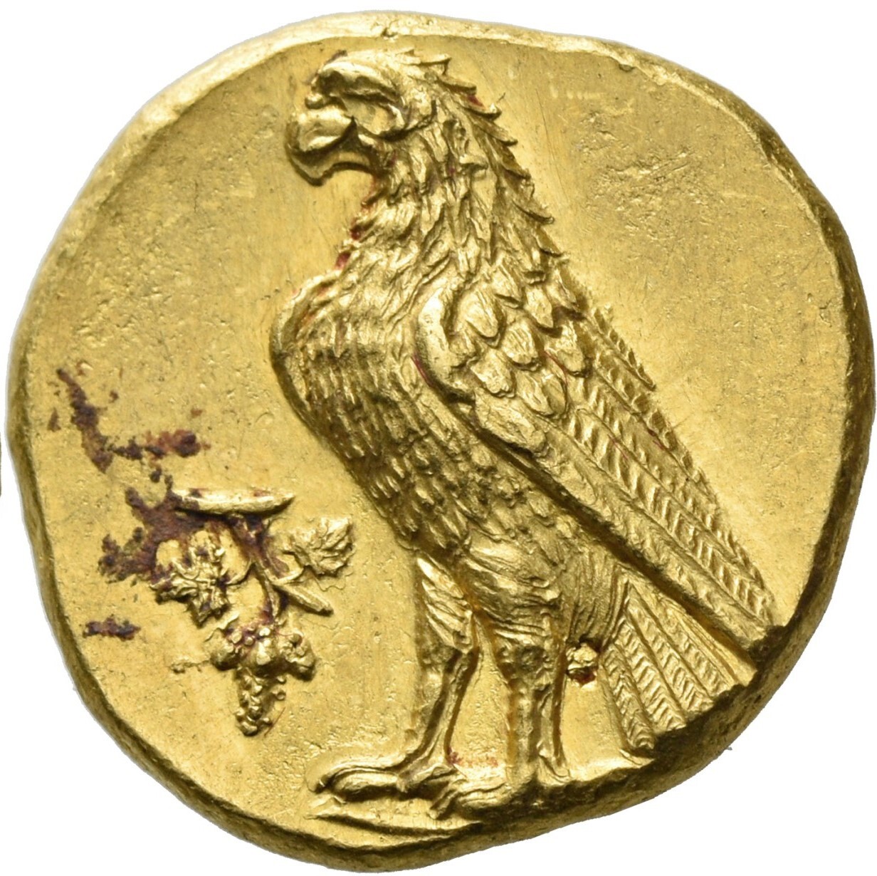 coin rev