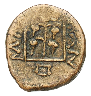 reverse CN Type cn.maroneia.1_ed.207