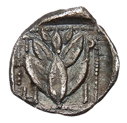 CN Type cn.trierus.1_ed.2, реверс, cn-coins