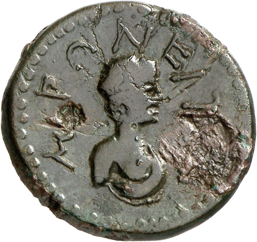 реверс CN Type cn.maroneia.1_ed.424