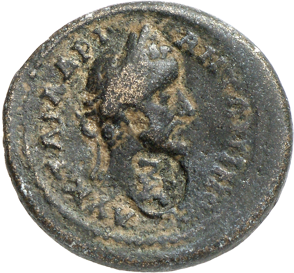 CN Type 11391, аверс, cn-coins