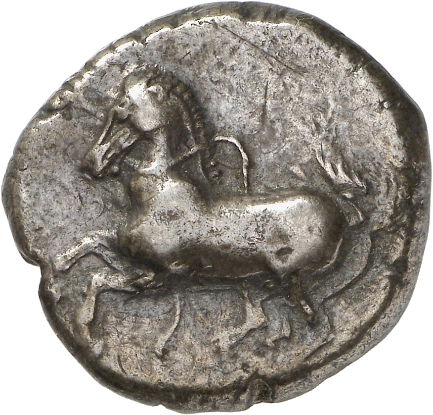 CN Type cn.maroneia.1_ed.141, аверс, cn-coins