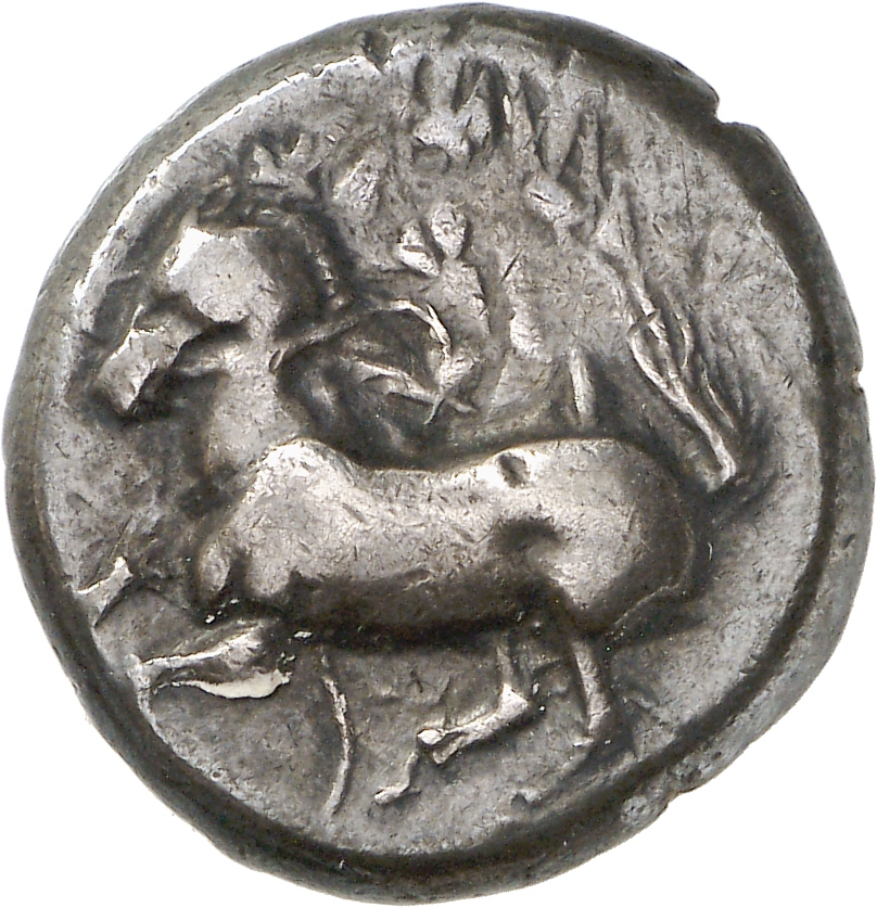 CN Type cn.maroneia.1_ed.141, аверс, cn-coins
