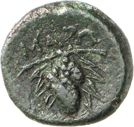 reverse CN Type cn.maroneia.1_ed.255