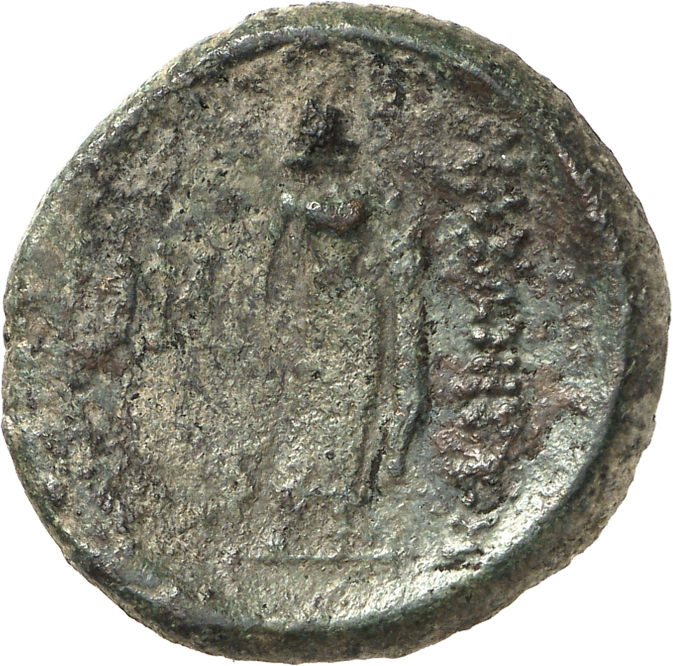 реверс CN Type cn.maroneia.1_ed.400