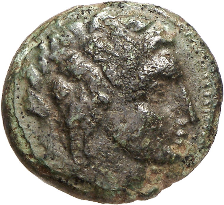 CN Type cn.abdera_thrace.1_ed.313, аверс, cn-coins