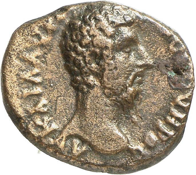 CN Type cn.augusta_trajana.1_ed.48, аверс, cn-coins